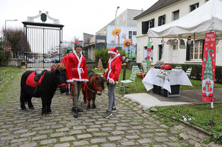 251214 Balades poney avec l'EREA Stendhal 