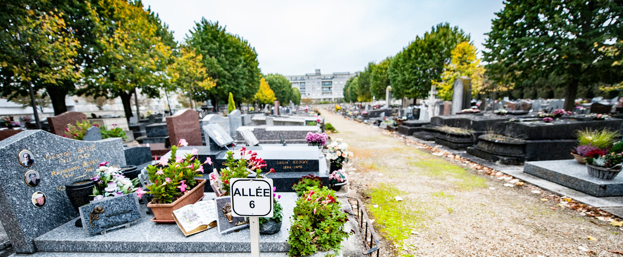 Arbres et allée arborée dans le cimetière communal