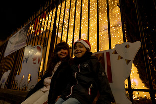 251212 Parade lumineuse Rêveries de la compagnie Compagnie Lotus Bleu 