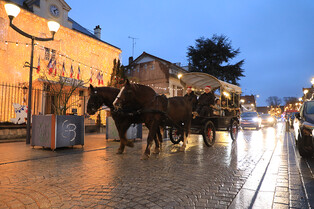 251220 Balades en calèche au Village de Noël